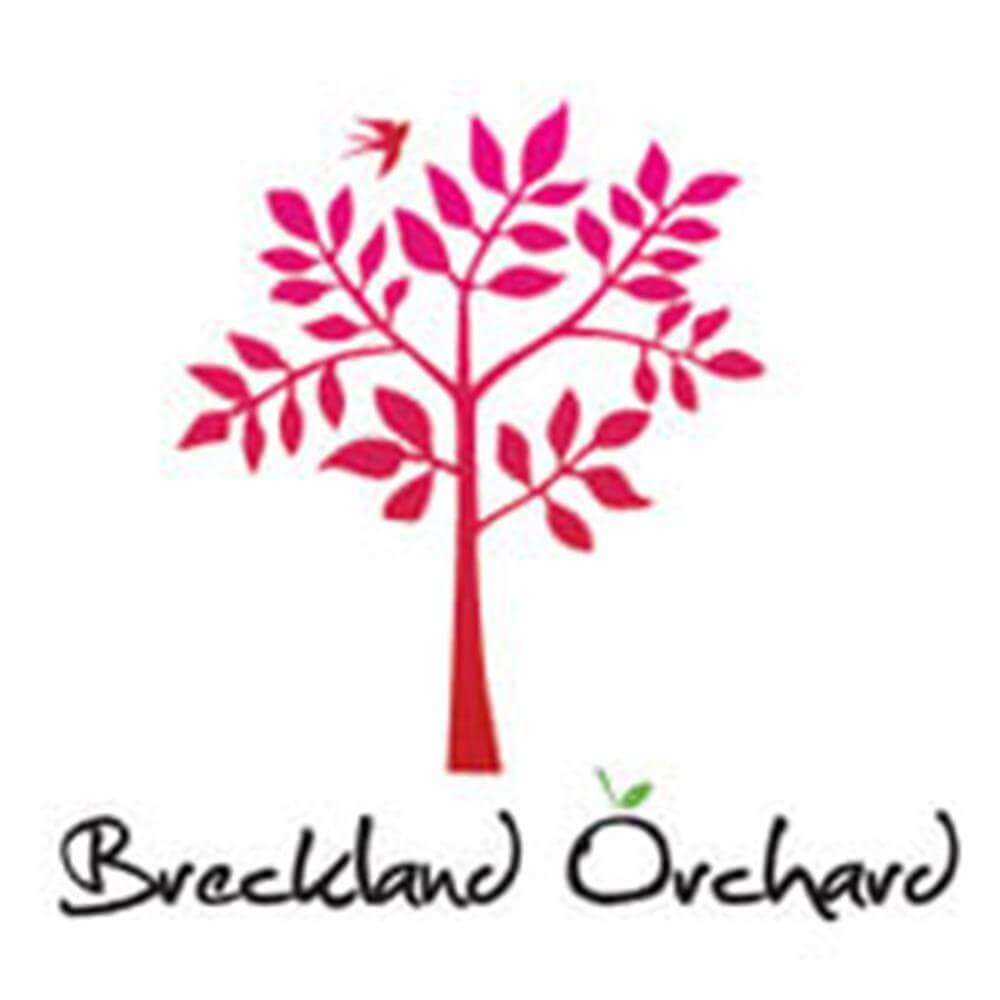 Breckland Orchard Posh Pop Pear and Elderflower